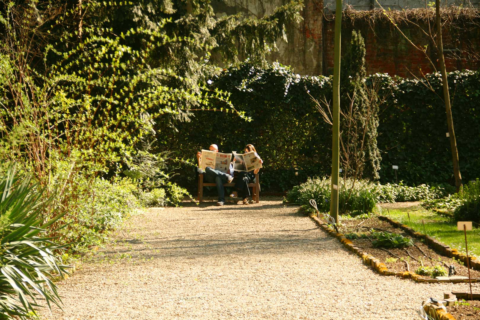 Botanical Garden of Brera
