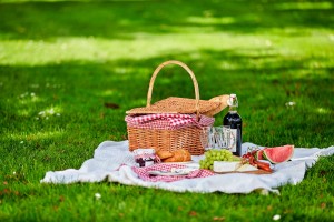 I migliori posti dove fare picnic a Milano