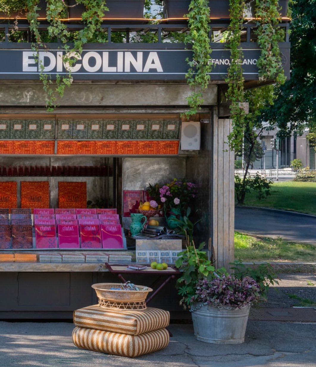 Edicolina