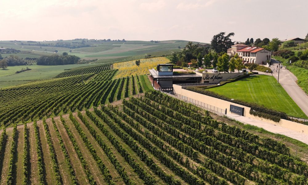 Un Weekend in Monferrato tra Vigneti e Ospitalità