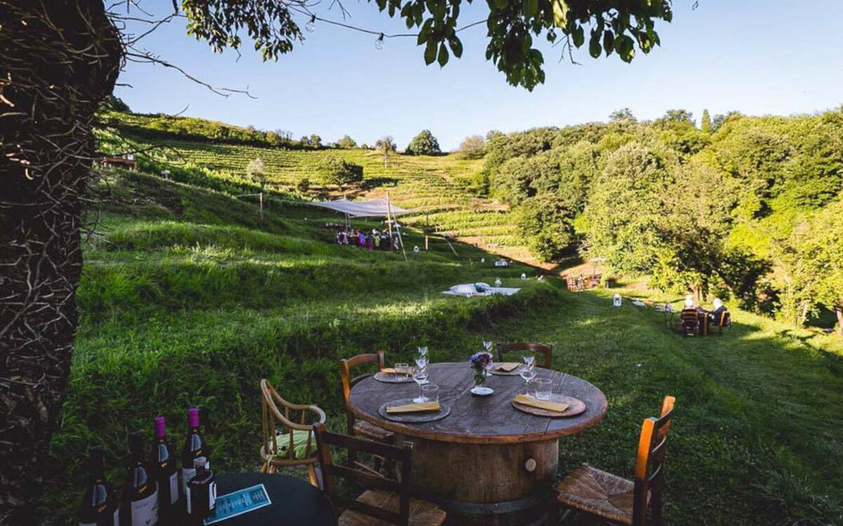 Picnics in Lombardy for a gourmet nature retreat