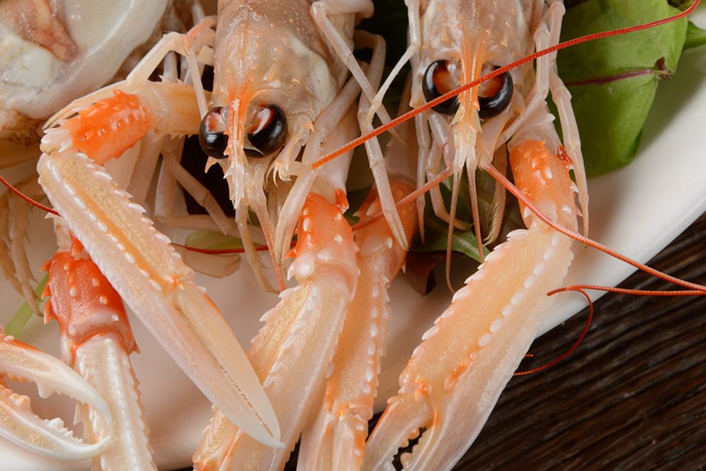 The best seafood restaurants in Verona