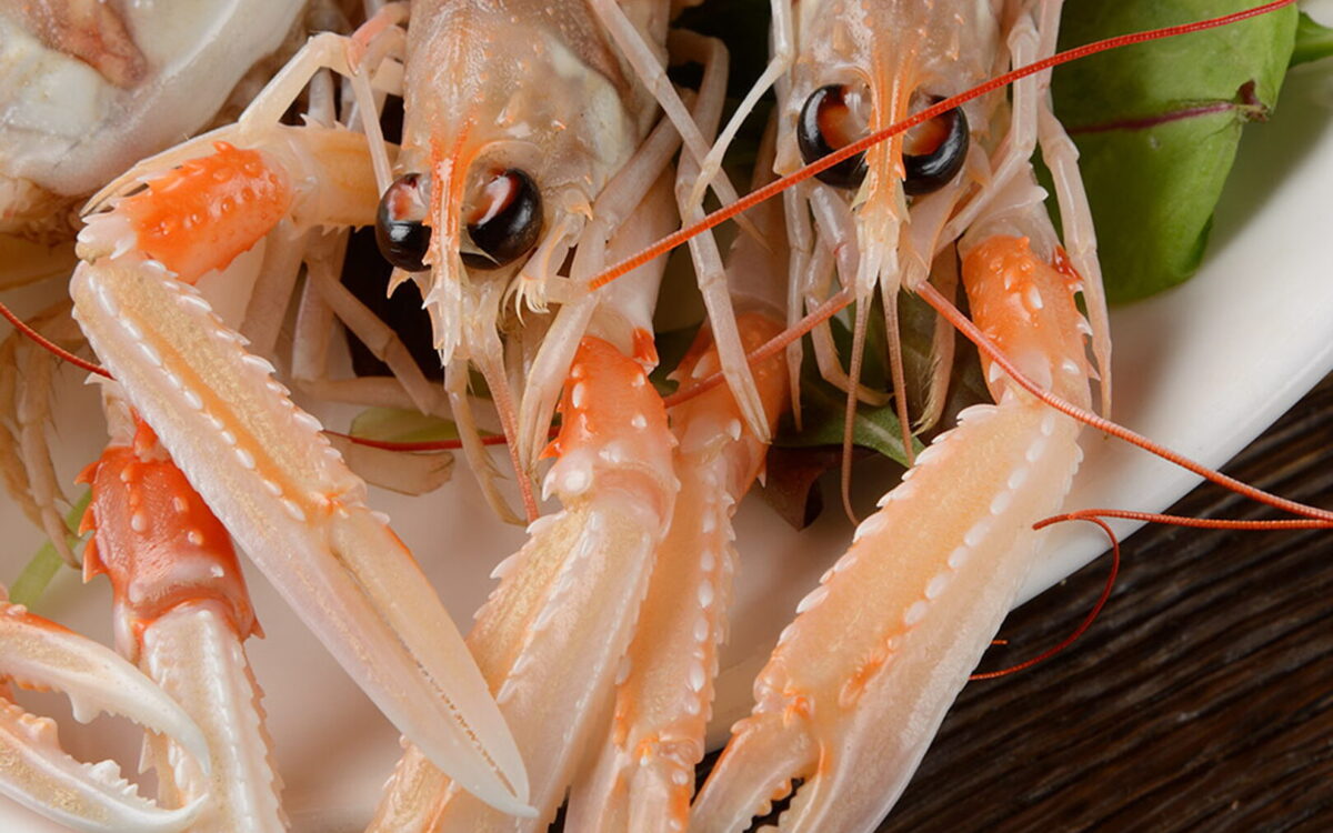 The best seafood restaurants in Verona