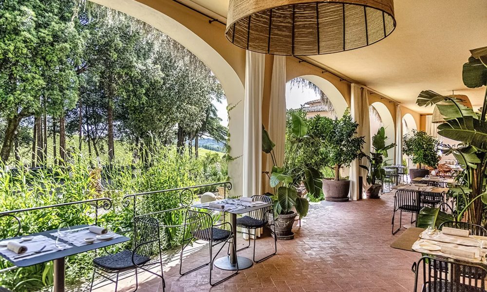 I migliori Ristoranti Immersi nei Vigneti delle più Belle Campagne Toscane