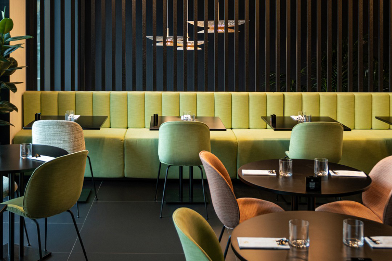 the longevity kitchen