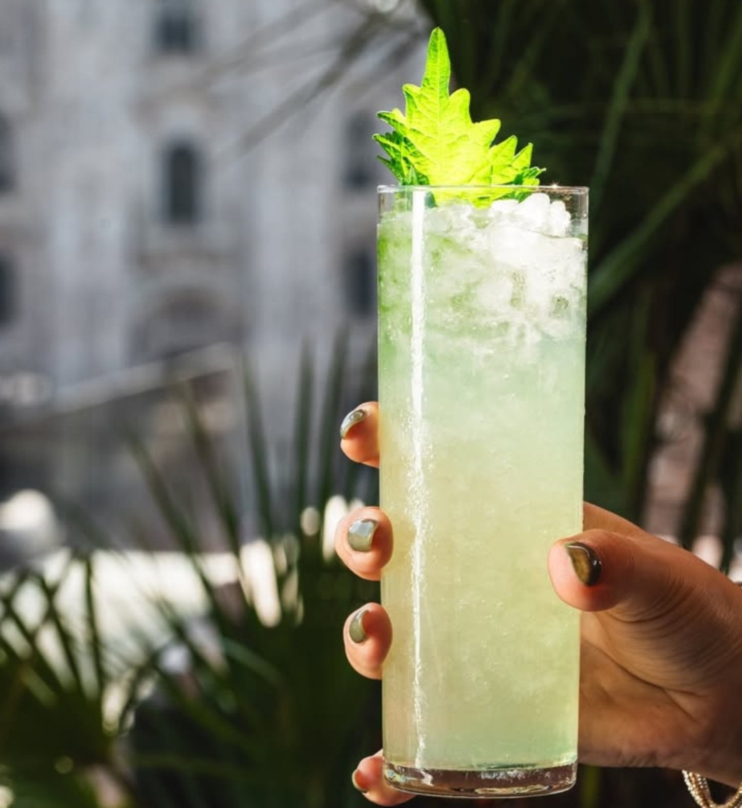 5 drink da provare a novembre