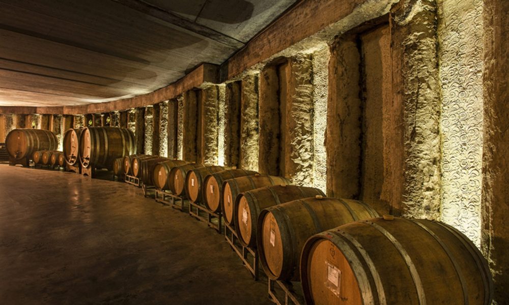 Cantina Renzo Seghesio: famiglia, terroir, tradizione