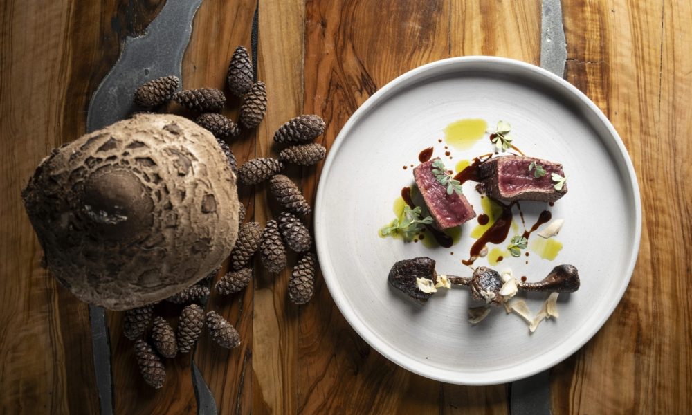 Tutte le Nuove Stelle della Guida Michelin 2025