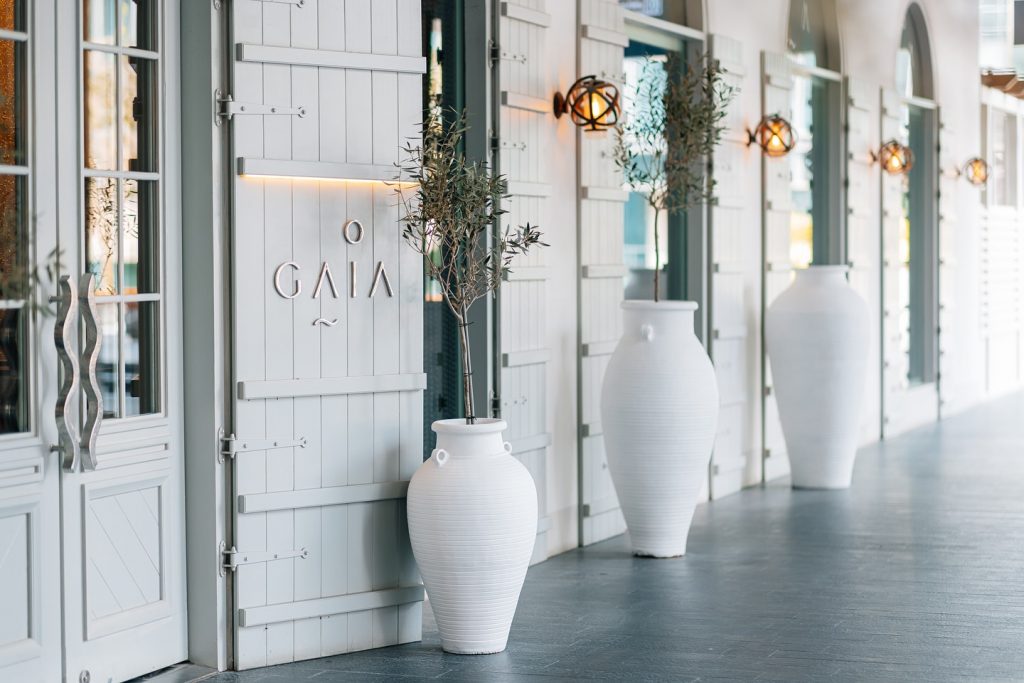 Gaia, Dubai
