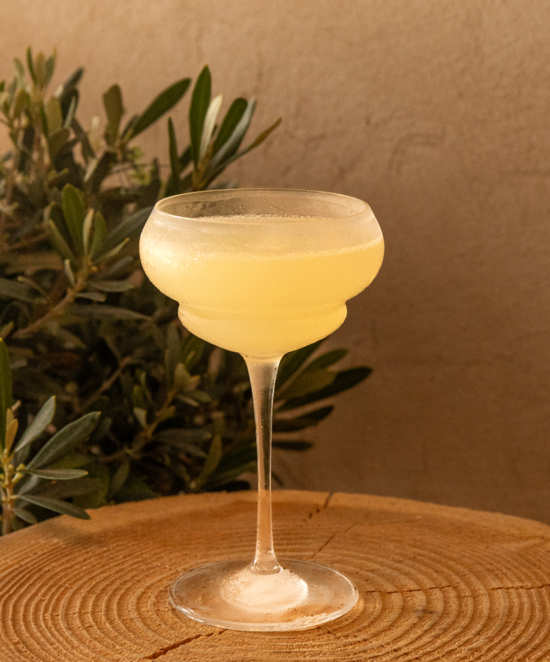 Tripstillery Navigli
