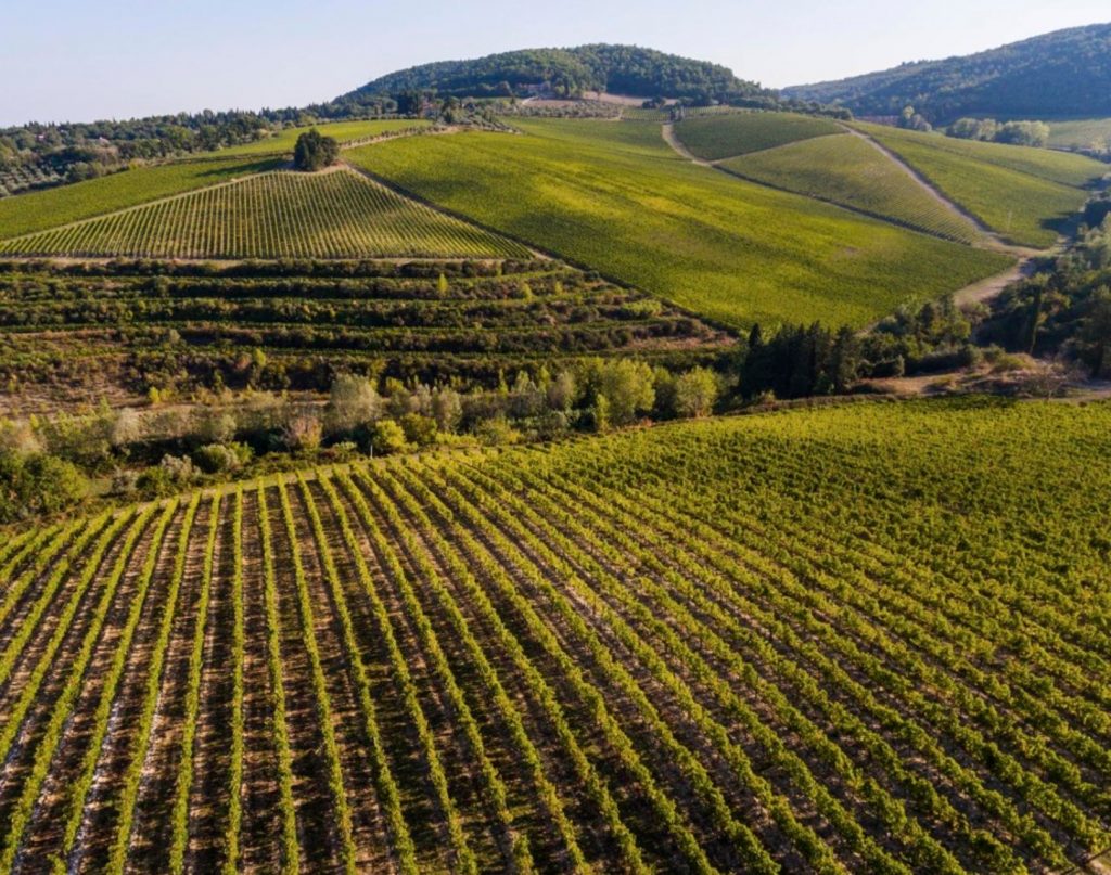 I Supertuscan, i vini ribelli che hanno creato un nuovo lusso