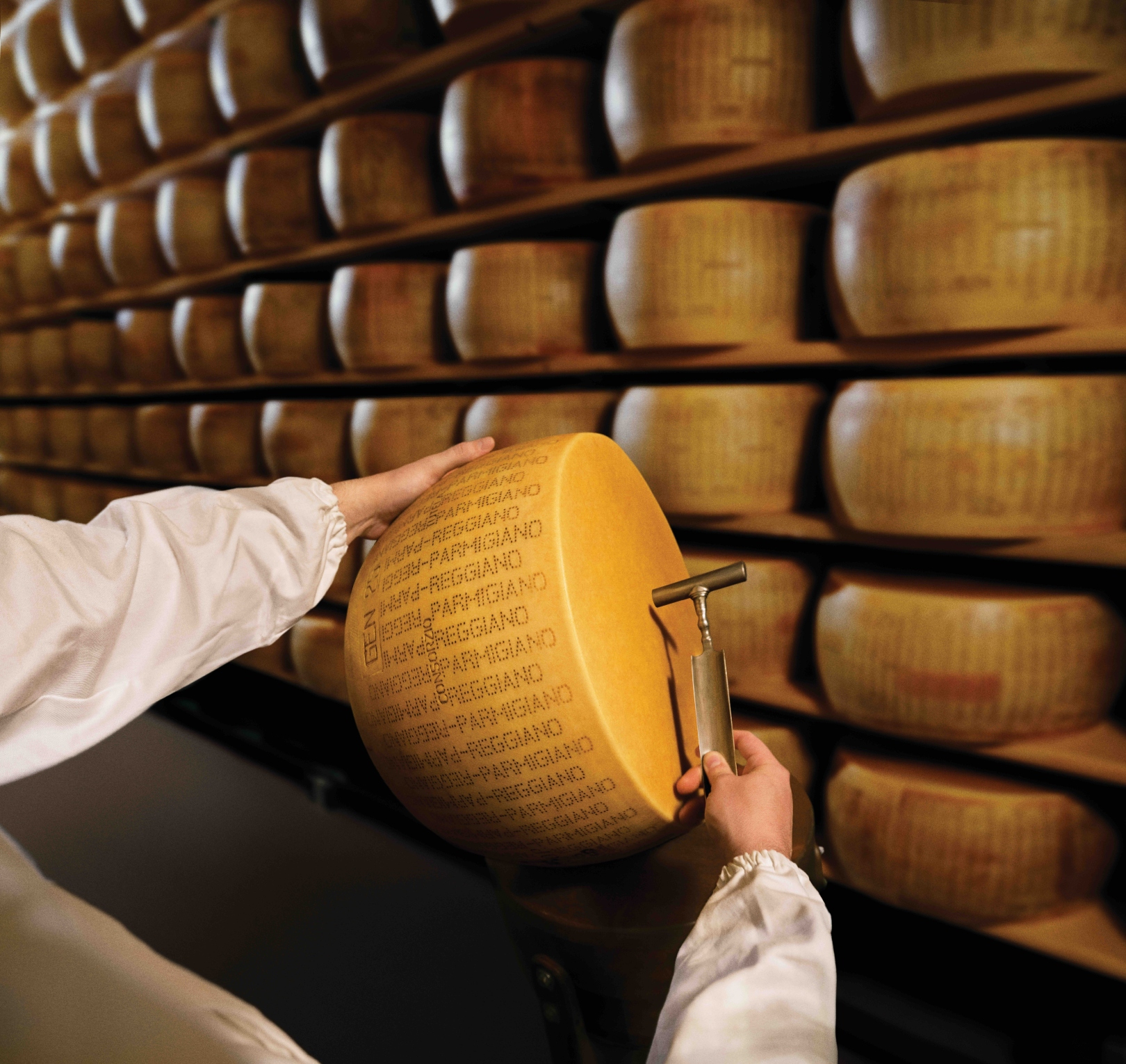 La battitura del Parmigiano Reggiano